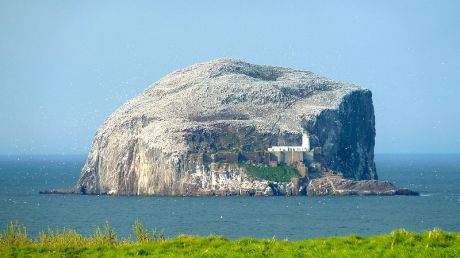 The Bass Rock from North Berwick.