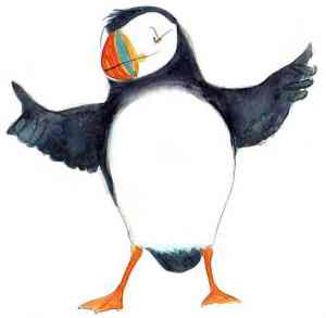 Lewis the puffin, illustrated by Gabby Grant.